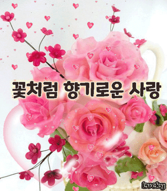 πΈ κ½μ²λΌ ν₯κΈ°λ‘μ΄ μ¬λ