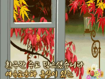 π λλ₯Ό ν볡νκ² ν΄μ£Όλ μκ°λ€