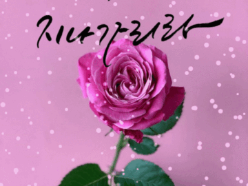 💐 괜찮아질 거야