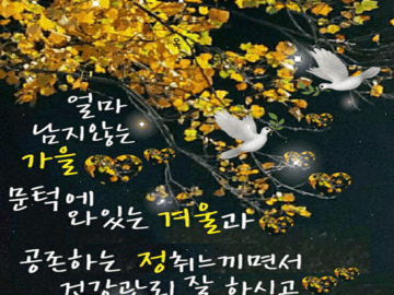 π λλμ μ€λ λ§μ