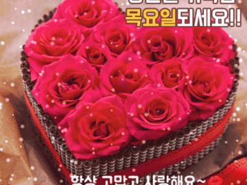 💕 사랑하는 것은