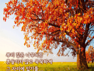 π³ λΏλ¦¬ κΉμ λ무