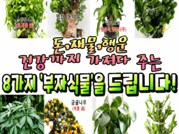 π° λ,μ¬λ¬Ό,νμ΄,건κ°κΉμ§ κ°μ Έλ€ μ£Όλ λΆμμλ¬Όλ€