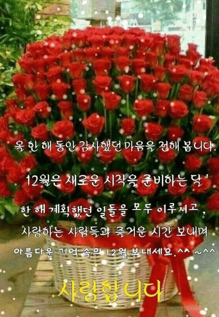 π
λλ₯Ό λμ보λ 12μ