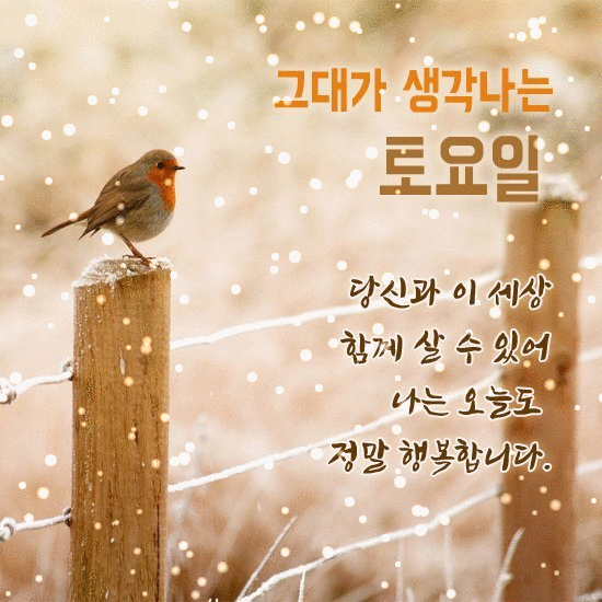 π λΉμ μ΄μμΌλ©΄ μ’κ² μ΄