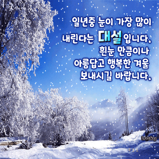 ❄️ 눈이 만든 풍경