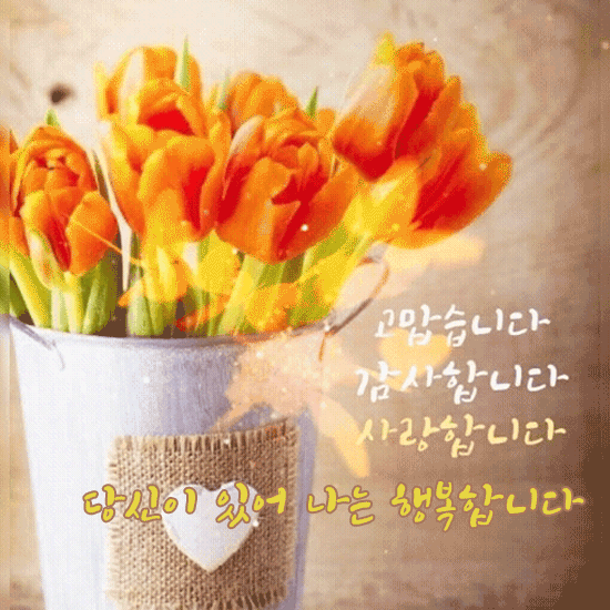 πΒ λΉμ μ΄ μμ΄ λλ ν볡νλ€