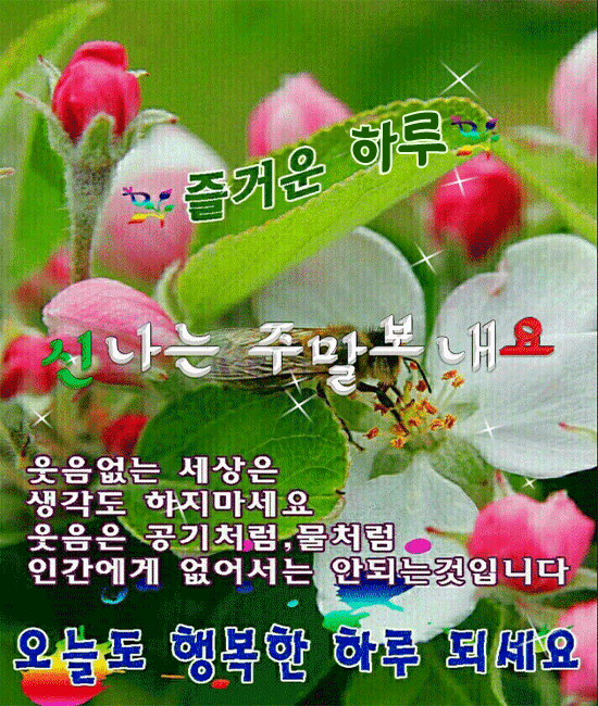 π μ€λλ λΉμ μ ν루κ°..