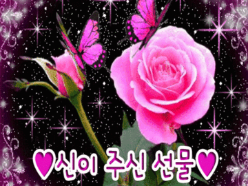 π μ μ΄ μ£Όμ μ λ¬Ό