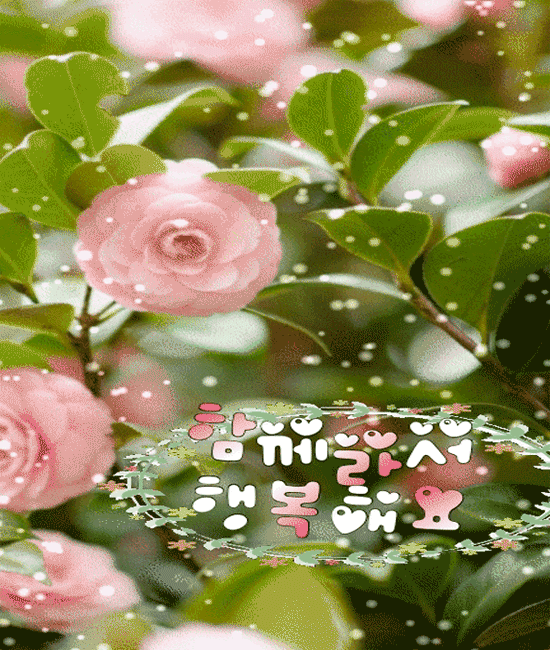 π μ’μ μ¬λ νλ μ―€μ..