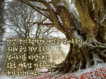 βοΈ κ²¨μΈ μΌκΈ°