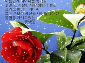 π· κΈ°λ€λ¦Όμ΄ μλ€λ©΄ ν볡νλ€