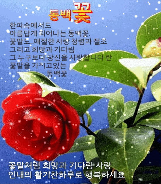 π· κΈ°λ€λ¦Όμ΄ μλ€λ©΄ ν볡νλ€