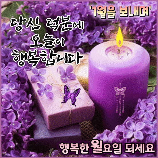 ⛄ 1월을 보내며