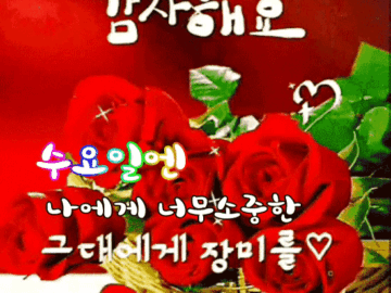 π κ·Έλκ° μμ΄ λ μ°Έ μ’λ€