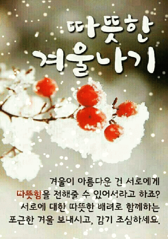 ❤️ 세상에서 가장 예쁜 사랑 고백