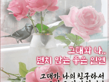 π· λ³μΉ μλ μ’μ μΈμ°Β