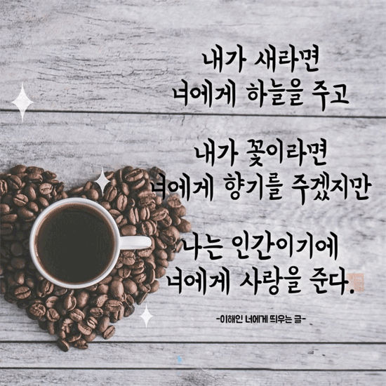 ✨ 그대를 사랑하는 이유