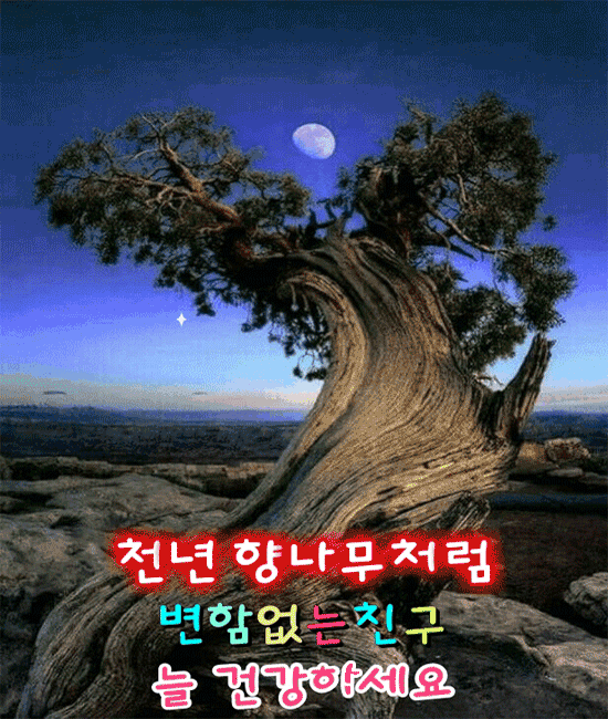 ☘️ 당신이어서 고맙습니다