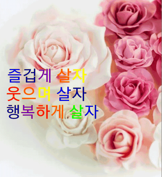 πΌ 건κ°κ³Ό λ²