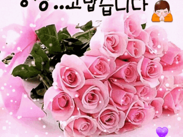 ๐ ํญ์ ๊ณ ๋ง์ต๋๋ค