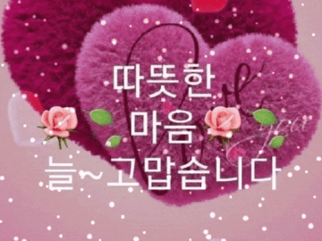 β£οΈΒ λ³΄κ³ ν λΉμ μκ²