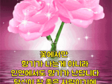 🌺 당신의 향기가 참 좋은 하루