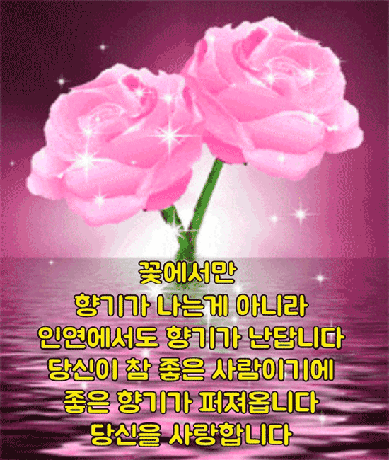 πΊ λΉμ μ ν₯κΈ°κ° μ°Έ μ’μ ν루