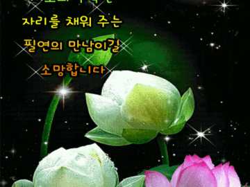 ๐ ๋ฌผ๊ณผ ์๊ธ์ ๋ง๋จ์ฒ๋ผ