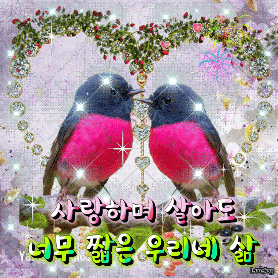 π μ¬λνλ©° μ΄μλ λ무 μ§§μ μ°λ¦¬λ€ μΆ