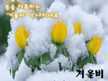 π§οΈ 겨μΈλΉΒ