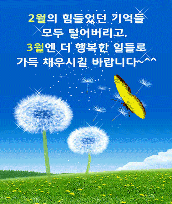 ☀️ 아침이 행복해지는 글