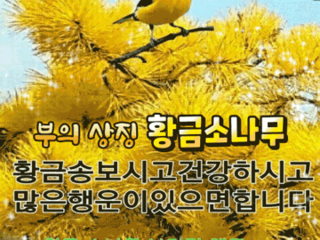 π° 볡(η¦) λ°κ³ μ΄μκ°λ 50κ°μ§λ°©λ²