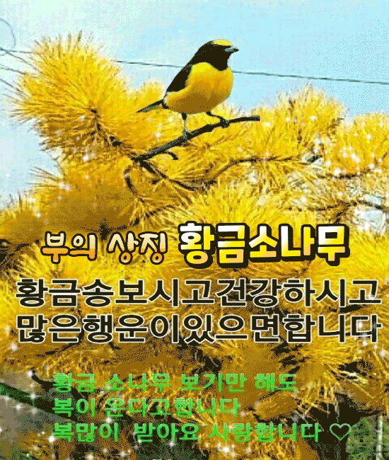 π° 볡(η¦) λ°κ³ μ΄μκ°λ 50κ°μ§λ°©λ²