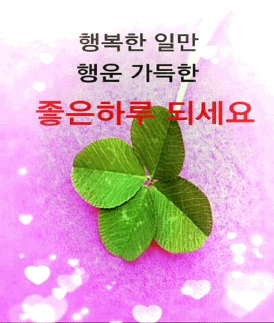 ✨ 인생이란