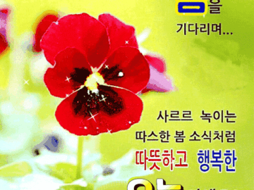 πΊ λ΄ λ§μμ κ½μ΄ νΌλ λ