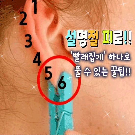 π μ€λͺ
μ νΌλ‘ ‘λΉ¨λμ§κ²’ νλλ‘ ν μ μλ κΏν!!