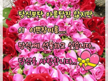 🌸 마음의 꽃을 당신에게