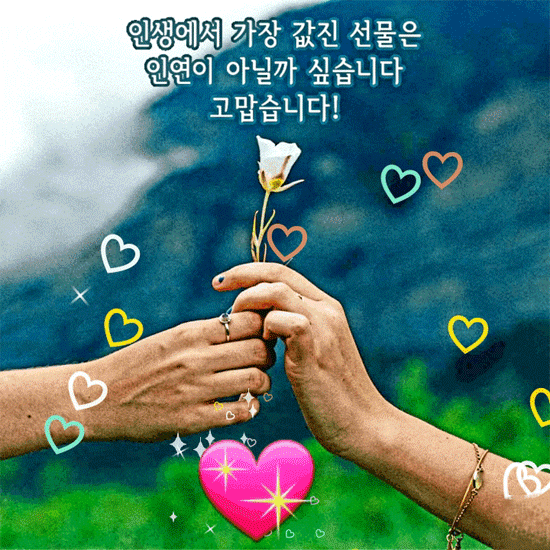 π λΉμ μ΄ κ³ λ§μ΄ λ°± κ°μ§ μ΄μ