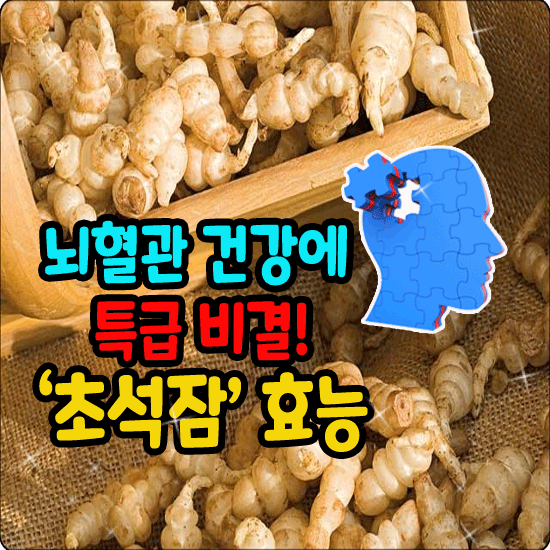 ๐ ๋ํ๊ด ๊ฑด๊ฐ์ ์ํ ํน๊ธ ๋น๊ฒฐ!ย ์ด์์ ํจ๋ฅ