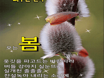 ๐ผ 3์์ ๋น์ ์๊ฒ ๋์ฐ๋ ํธ์งย