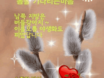 πΏ λ΄μ΄ μ€λ κΈΈλͺ©μμ