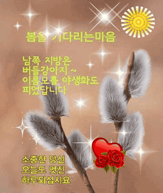 ๐ฟ ๋ด์ด ์ค๋ ๊ธธ๋ชฉ์์