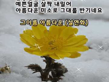 π 2μμ κΏκΎΈλ μ¬λ