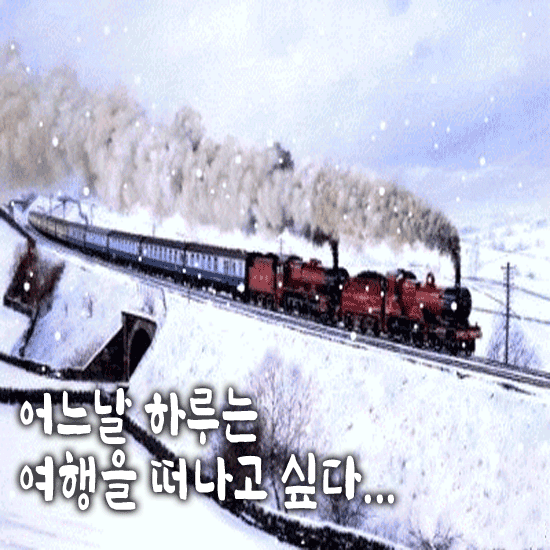 π μ΄λλ ν루λ μ¬νμ