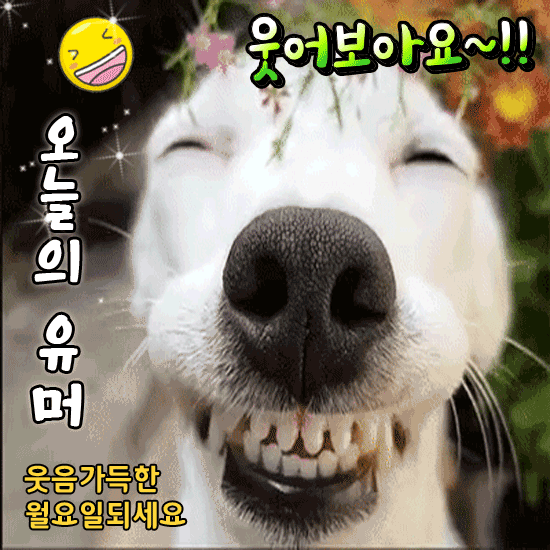 π μμ΄λ³΄μμ!! μ€λμ μ λ¨Έ