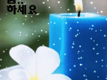 β μ½μ΄λ μ½μ΄λ μ’μκΈ