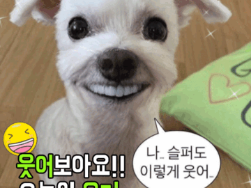 π μμ΄λ³΄μμ!! μ€λμ μ λ¨Έ