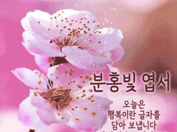 ๐ท ๋ด์ด ์ค๋ ์๋ฆฌ