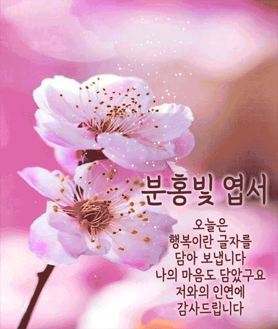 π· λ΄μ΄ μ€λ μ리